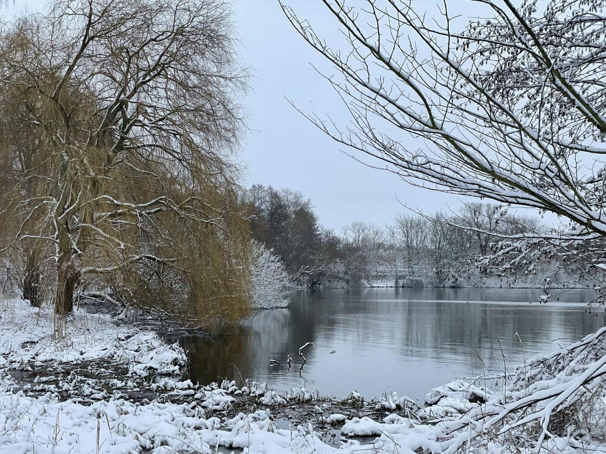 Flat In Eutin On The Kleiner Eutiner See Lake 외부 사진