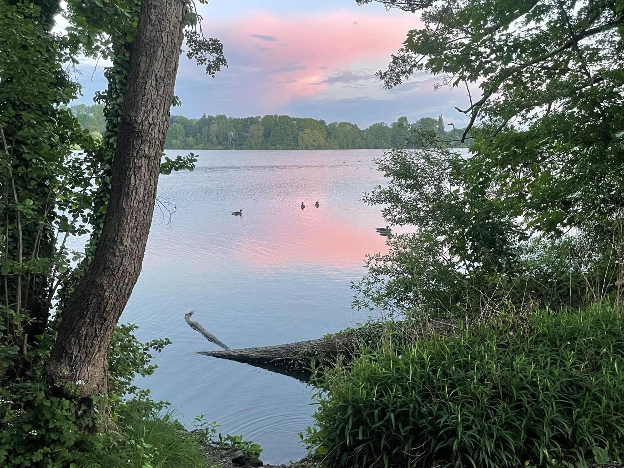 Flat In Eutin On The Kleiner Eutiner See Lake 외부 사진